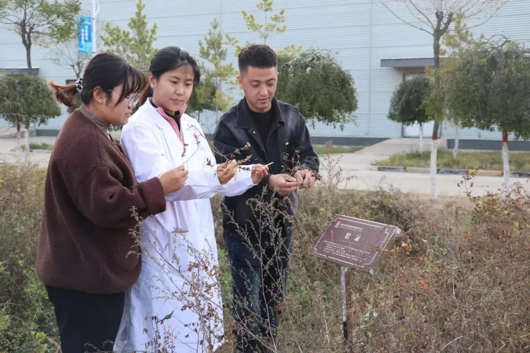 281743120987146966.jpeg 281743120987146966.jpeg